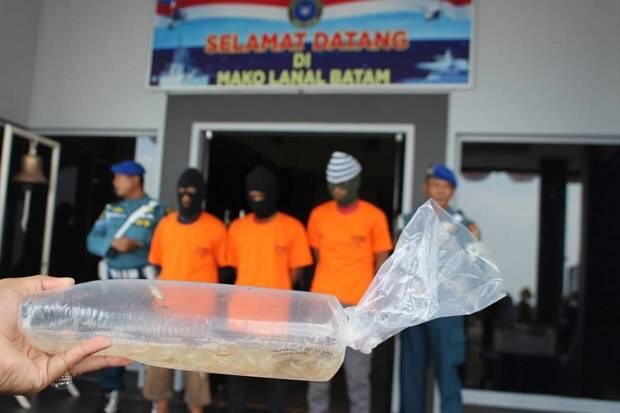 KKP Kembali Gagalkan Penyelundupan Benih Lobster Senilai Rp13,8 Miliar