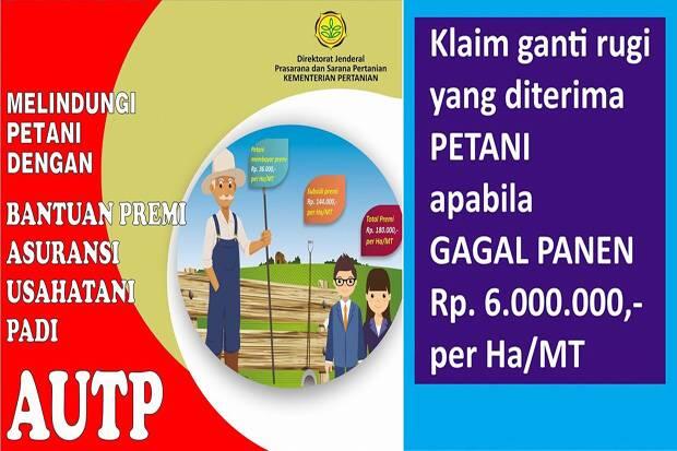Alami Puso, Sejumlah Petani Jateng Mulai Ajukan Klaim Asuransi