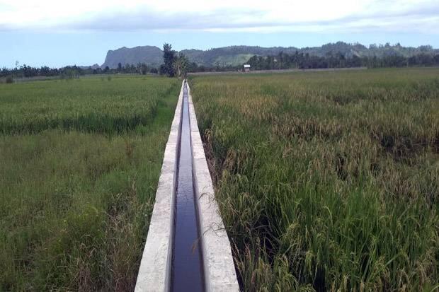 Manfaat Rehabilitasi Irigasi Tersier Dirasakan Petani Rokan Hilir