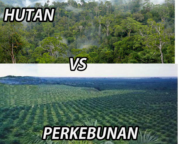 Industri atau Pertanian? Hutan atau Perkebunan? Masa depan bumi perlu dipertimbangkan