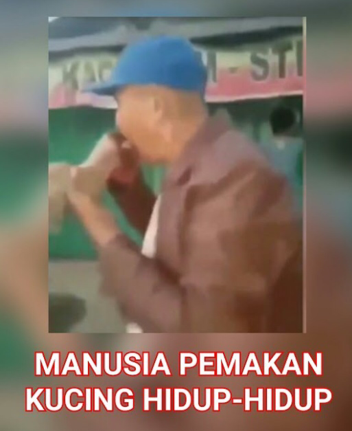 Apakah binatang tidak boleh mati secara layak dan terhormat ?