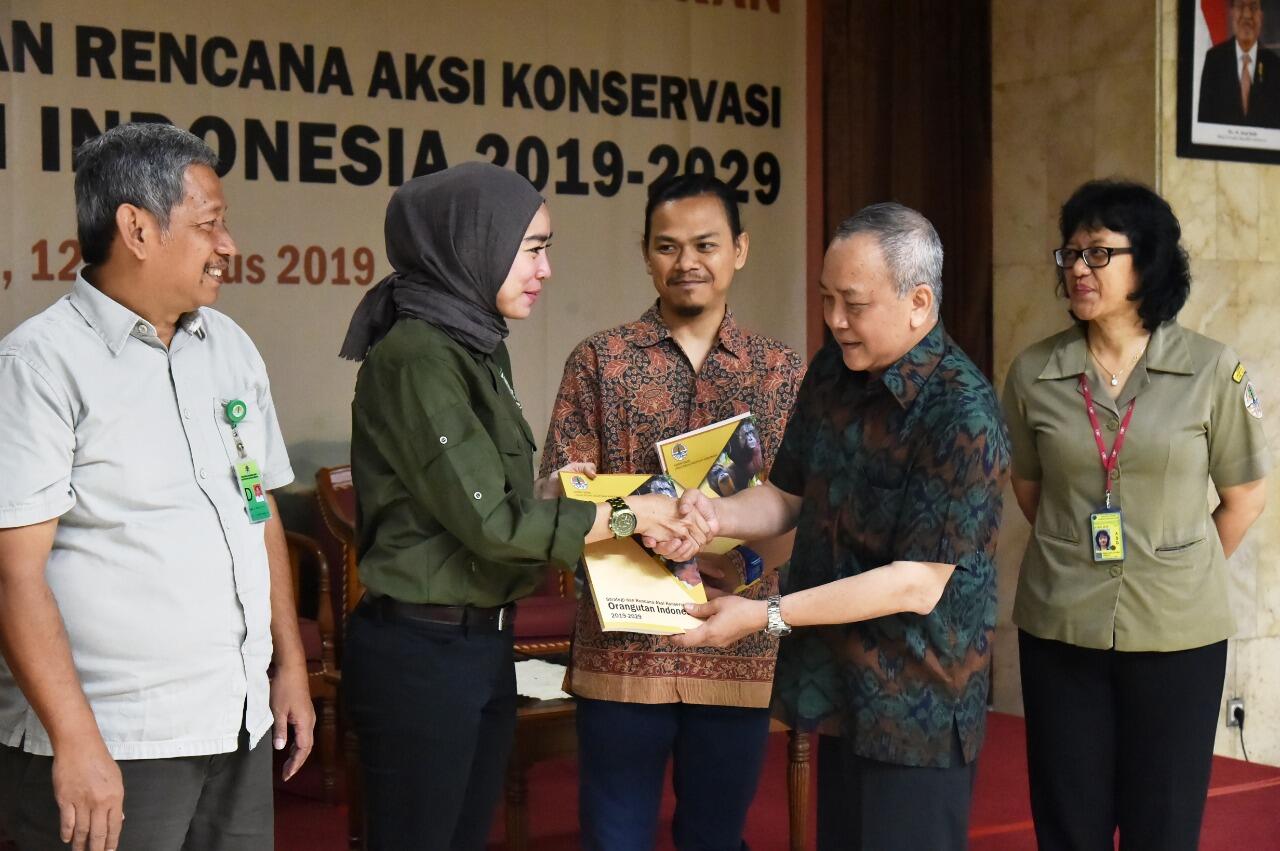 Merawat Kelestarian Orang Utan, KLHK Luncurkan Strategi dan Rencana Aksi
