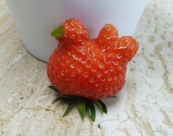 10 Buah Ini Punya Bentuk yang Unik dan Gak Wajar, Agak Gak Masuk Akal