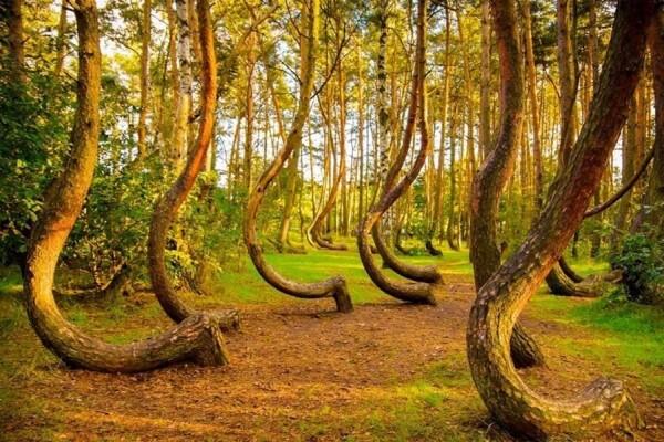 10 Hal Paling Misterius di Bumi, Ilmuwan pun Tak Bisa Menjelaskannya