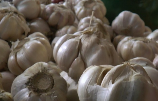 Kasus Suap Bawang Putih: Importir Belum Penuhi Kewajiban Tanam 47 Ha