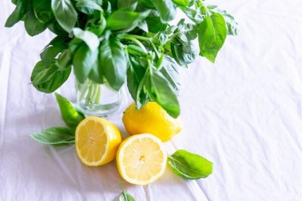 Gak Perlu Mahal, 5 Bahan Alami Ini Mampu Cerahkan Kulit Pangkal Paha!