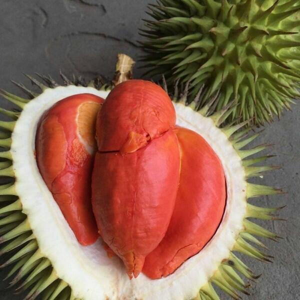 10 Jenis Durian Paling Populer Ini Wajib Masuk List Kulineranmu