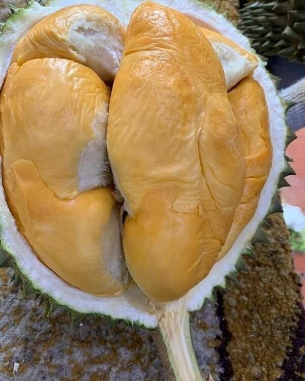 10 Jenis Durian Paling Populer Ini Wajib Masuk List Kulineranmu