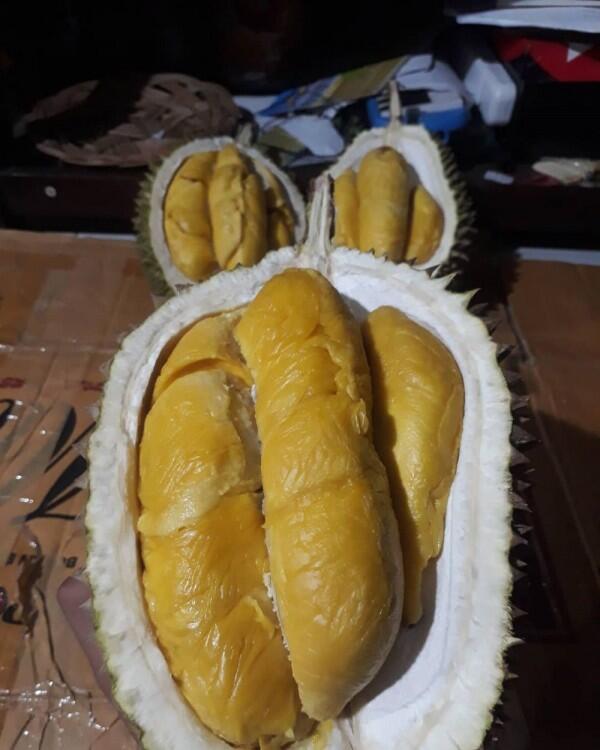 10 Jenis Durian Paling Populer Ini Wajib Masuk List Kulineranmu