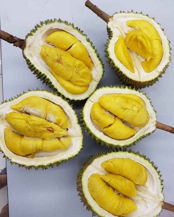10 Jenis Durian Paling Populer Ini Wajib Masuk List Kulineranmu