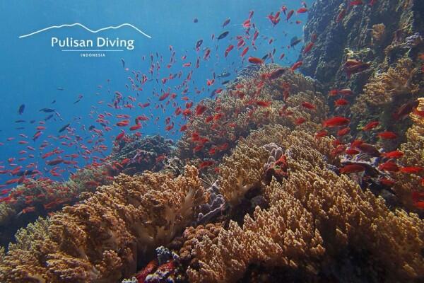 10 Rekomendasi Hotel dengan View Terbaik di Likupang, Sulawesi Utara