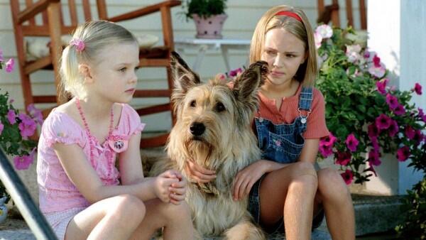 5 Film Bertema Persahabatan Manusia dan Anjing yang Mengharukan