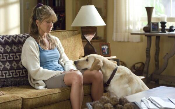 5 Film Bertema Persahabatan Manusia dan Anjing yang Mengharukan