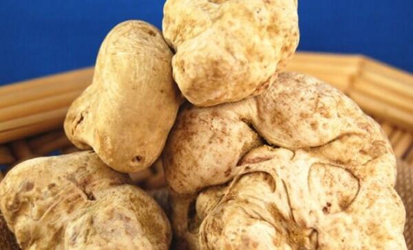 4 Fakta Unik Jamur Truffle, Harganya Bisa Mencapai Miliaran Rupiah