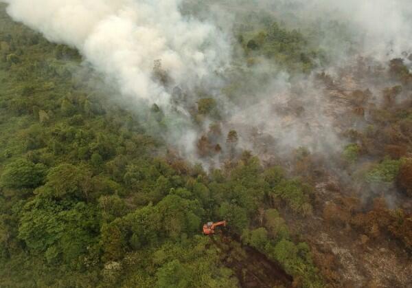 Cegah Karhutla Meluas, BNPB Siagakan 36 Helikopter