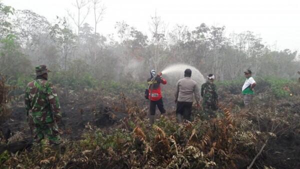 Cegah Karhutla Meluas, BNPB Siagakan 36 Helikopter