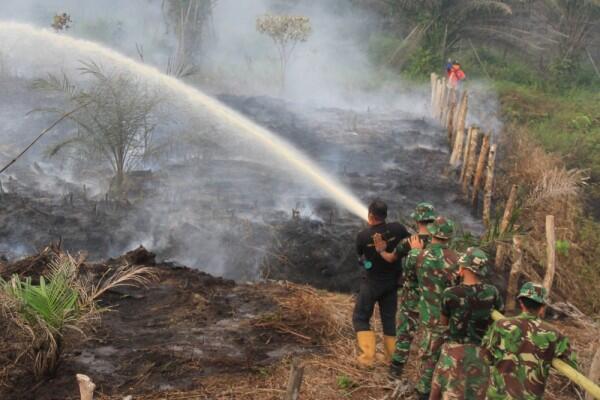Cegah Karhutla Meluas, BNPB Siagakan 36 Helikopter