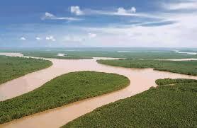 6 Sungai ini disebut sebagai “Amazon Of Indonesia”