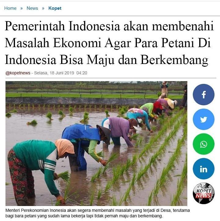 Pemerintah akan Membenahi Masalah Ekonomi Agar Petani Maju dan Berkembang