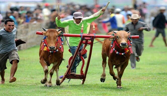 Kita Simak Uniknya Indonesia, Kita Bangga Sebagai Warganya