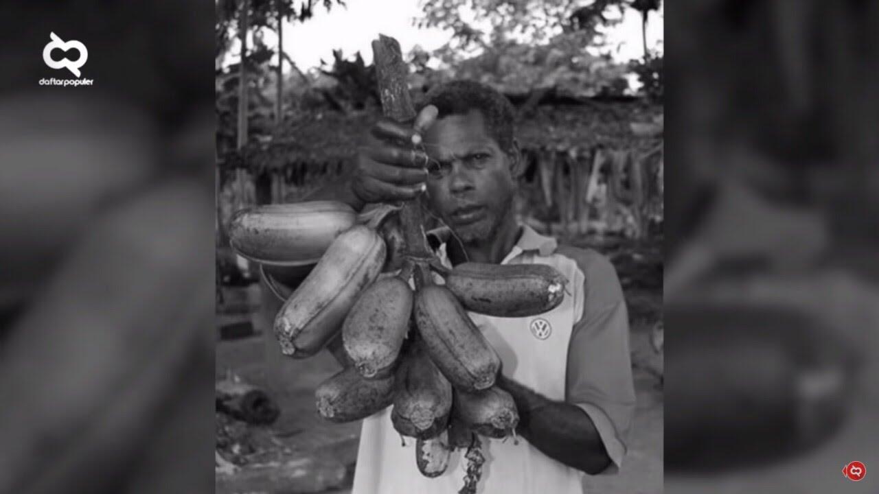 Viral Buah-buahan Raksasa, Ada yang Harganya Belasan Juta Gan!
