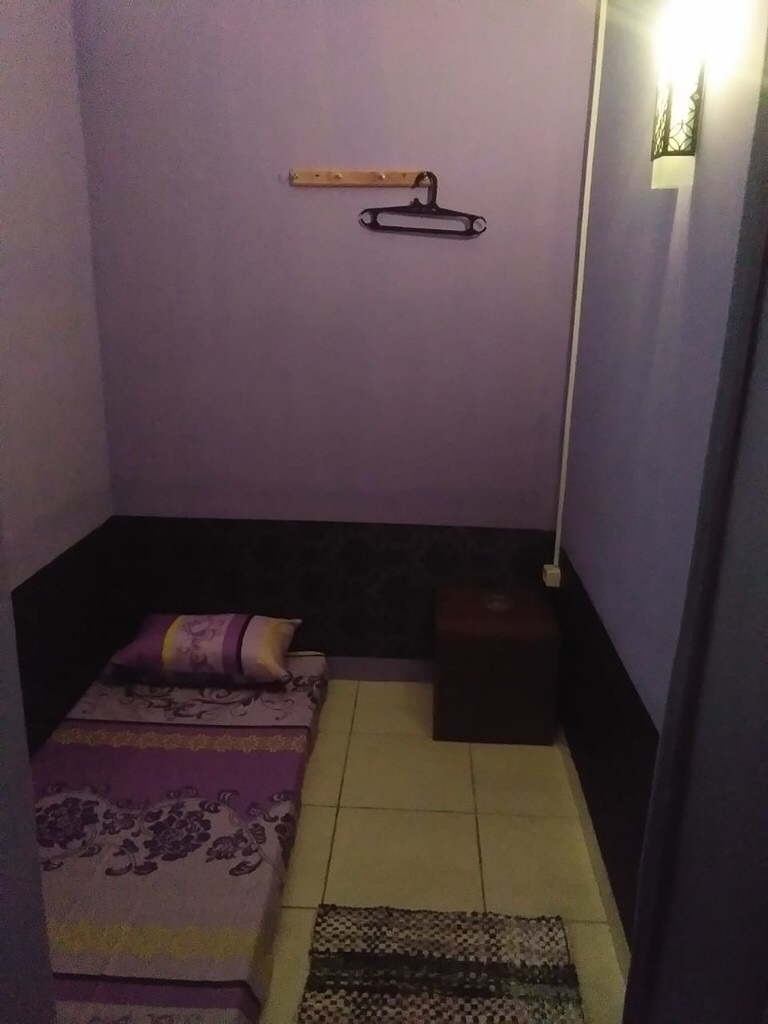 NEW VIOLET REFLEXY