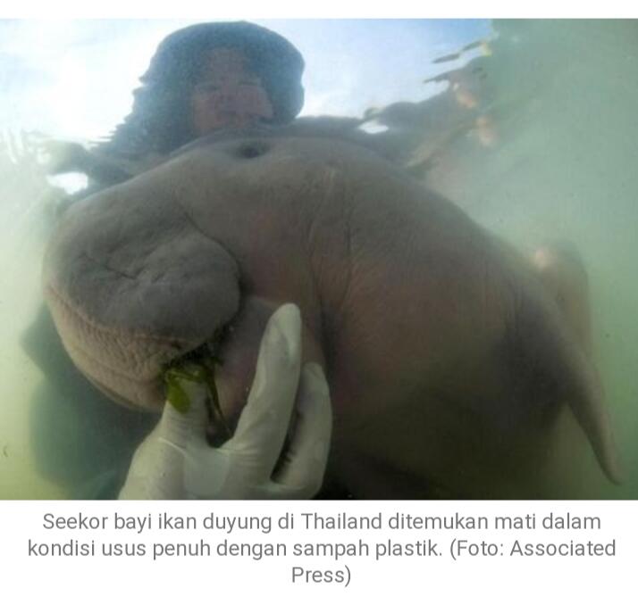 Sampahlah Pembunuhnya! Dugooong ....