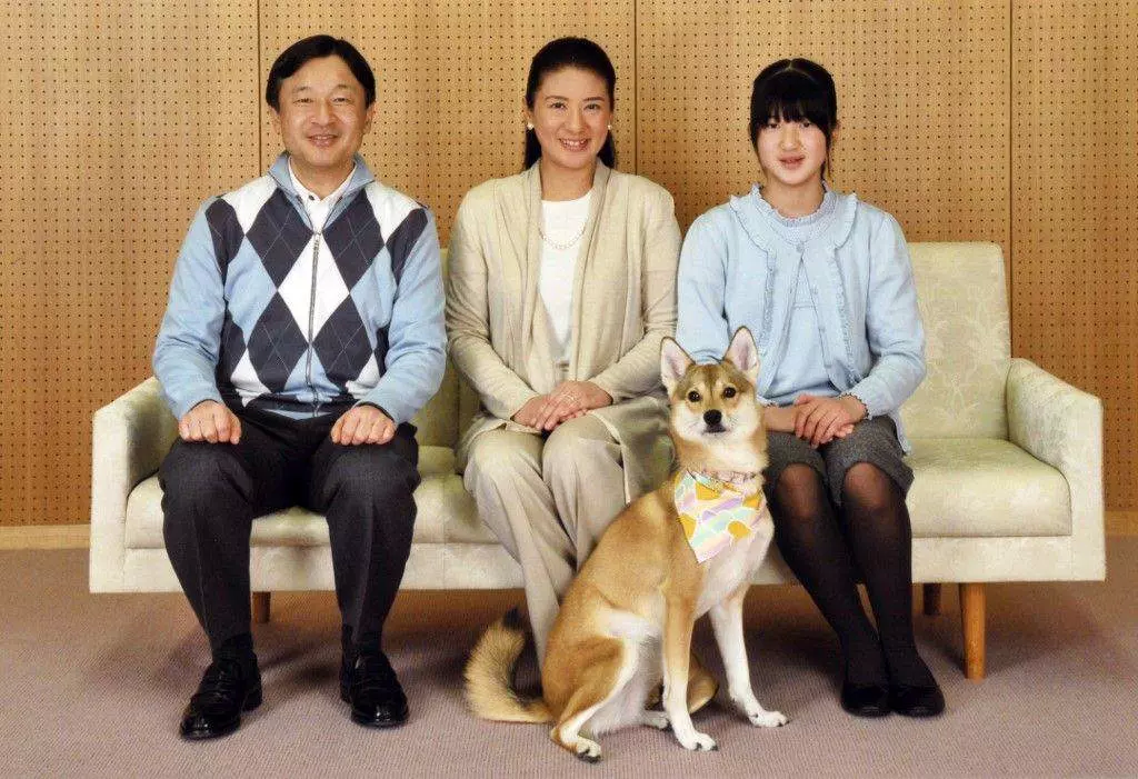 Pria Bangsawan Langka, Putri Aiko, Putri Kaisar Jepang Terancam Jomblo Seumur Hidup