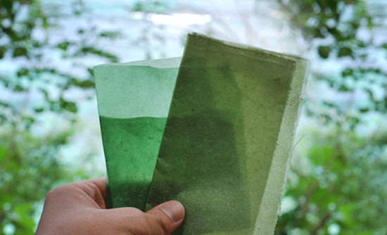 Solusi Limbah Plastik, Pembungkus Makanan ini Bisa Dimakan!