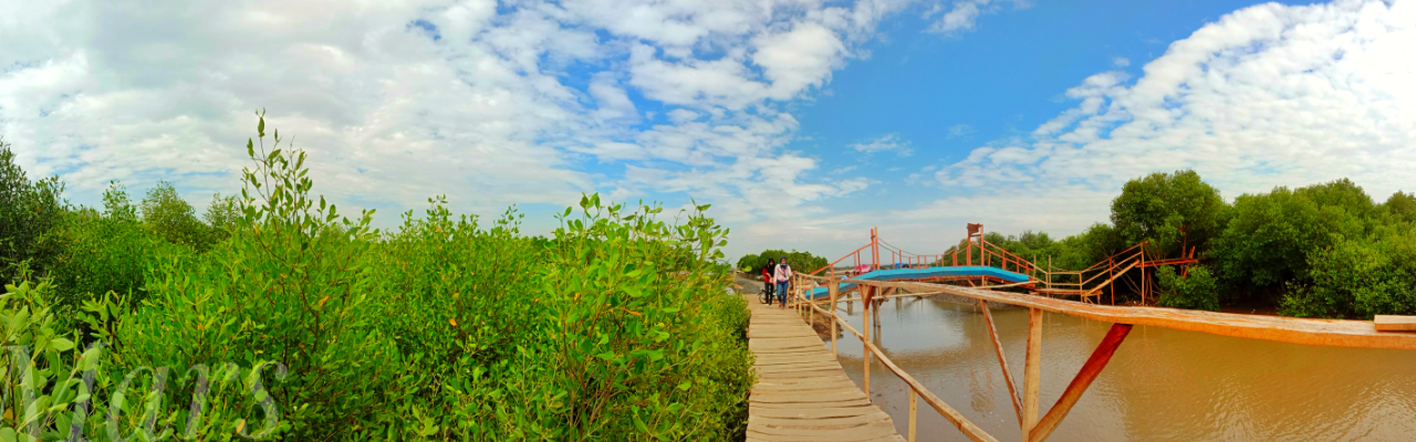 Pesona Pantai Mina Mangrove : Wisata Baru Di Tunggulsari, Tayu, Pati, Jawa Tengah