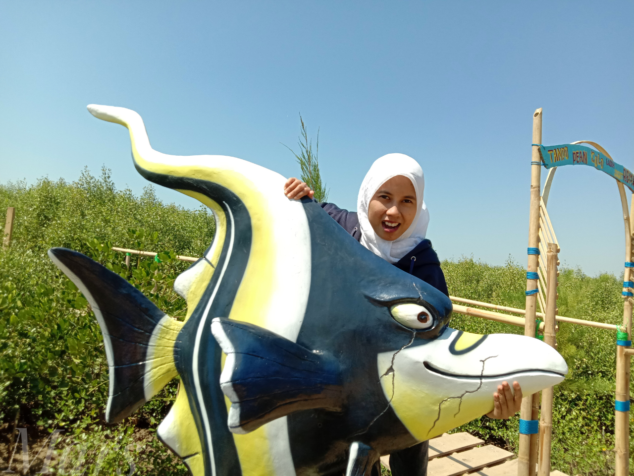 Pesona Pantai Mina Mangrove : Wisata Baru Di Tunggulsari, Tayu, Pati, Jawa Tengah