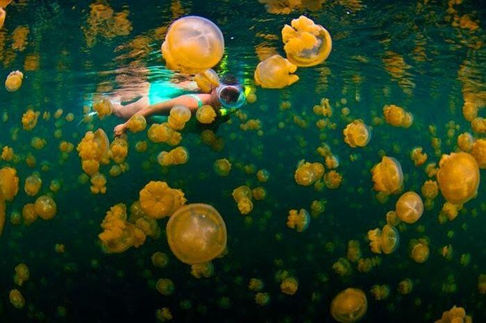 Pulau di Timur Kalimantan yang Menyimpan Banyak Keindahan!