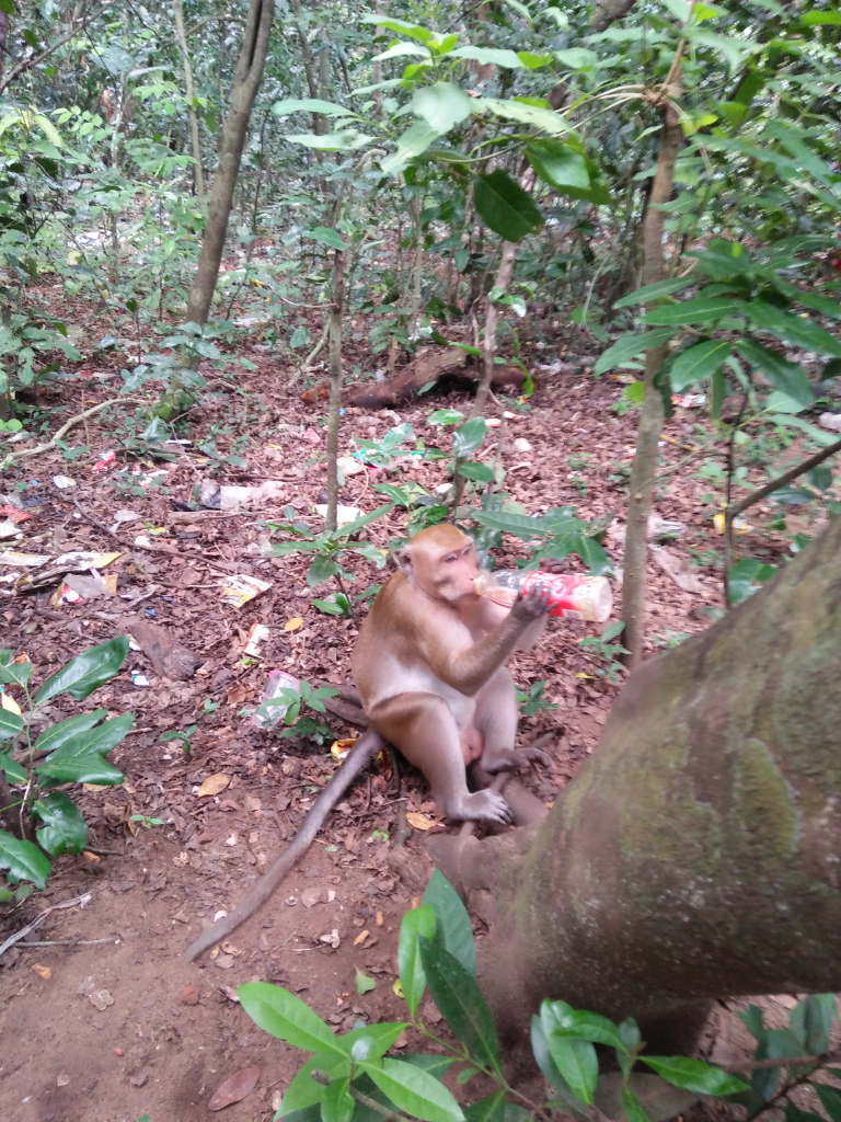 Surga Tersembunyi Indonesia, Pernah Dengar Pemandian Sumber Pocong?