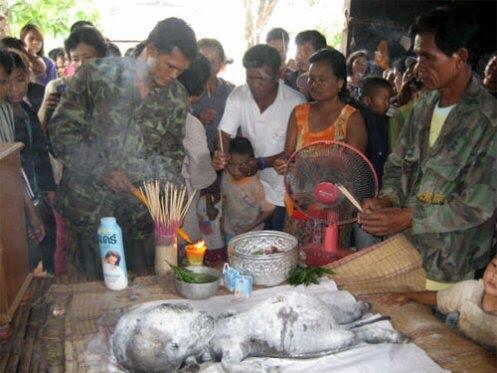 Viral Sapi Diperkosa Manusia Sampai Hamil dan Melahirkan, Bayi Sapi Mirip Bapaknya!