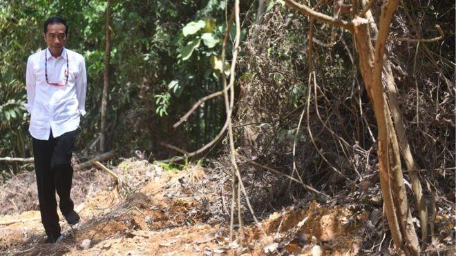 Penjara Hingga Pangkalan Militer Bakal di Bangun Jokowi di Ibu Kota Baru