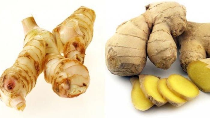 KEKAYAAN RASA MAKANAN INDONESIA YANG DIAKUI OLEH DUNIA