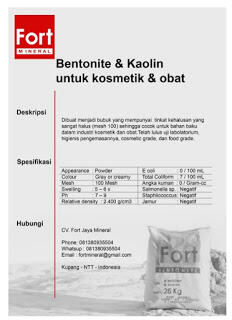 Peluang bisnis perusahaan kosmetic dan obat
