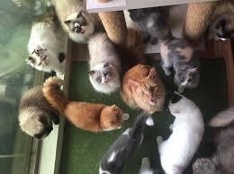 Berbeda adalah Hal yang Mutlak Ada