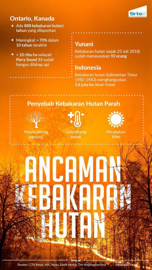 Kebakaran di Hutan Amazon: Bukti Bahayanya Populisme Sayap Kanan