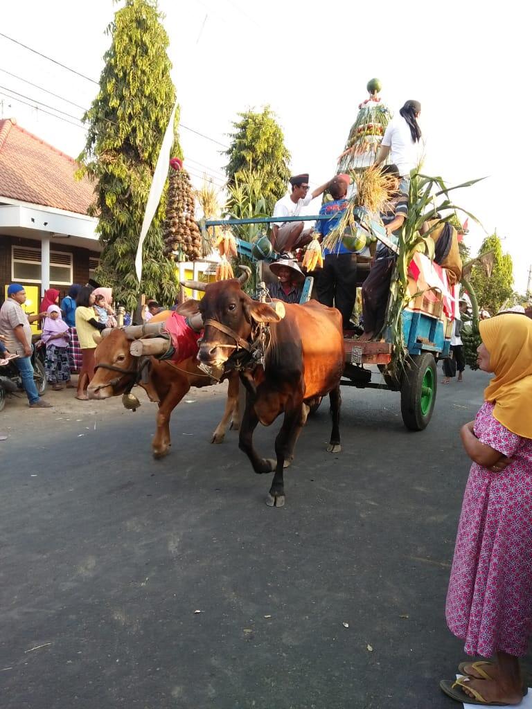 Potret Unik Kreasi Masyarakat dalam Pawai Kemerdekaan RI