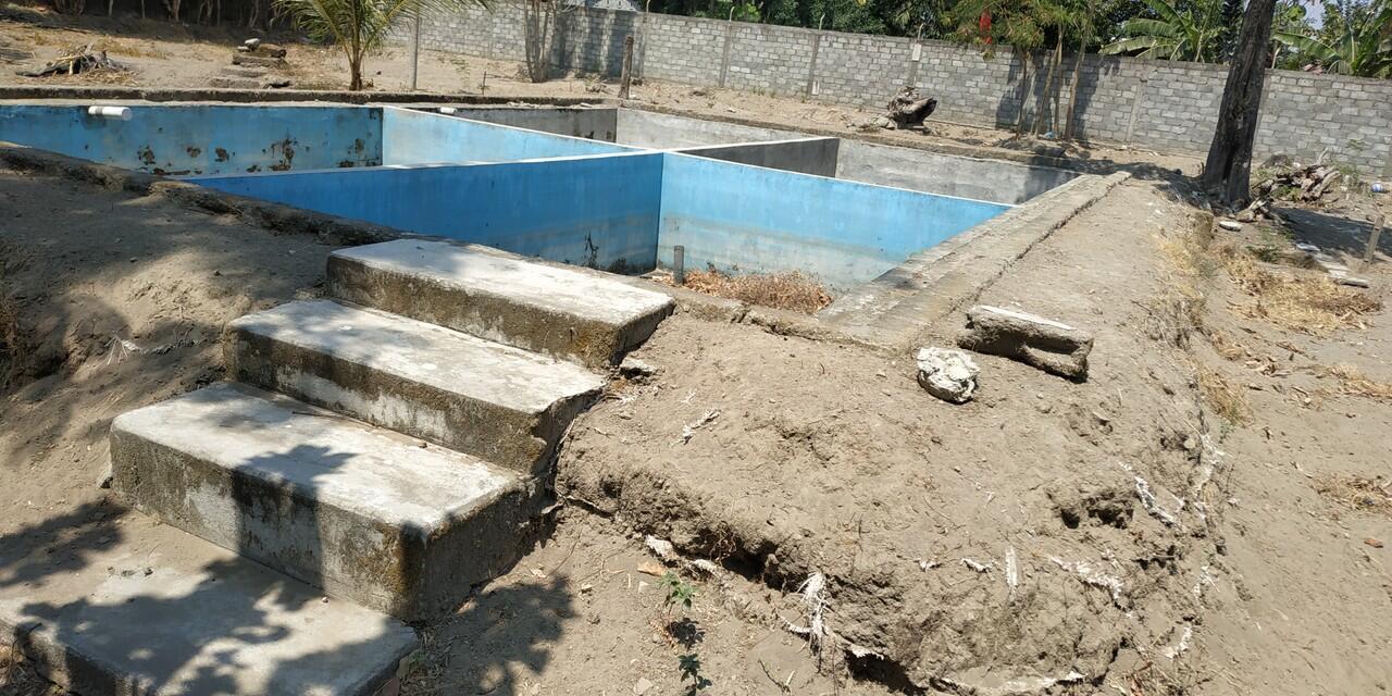 Mari Pantau 1000 ekor lele untung berapa