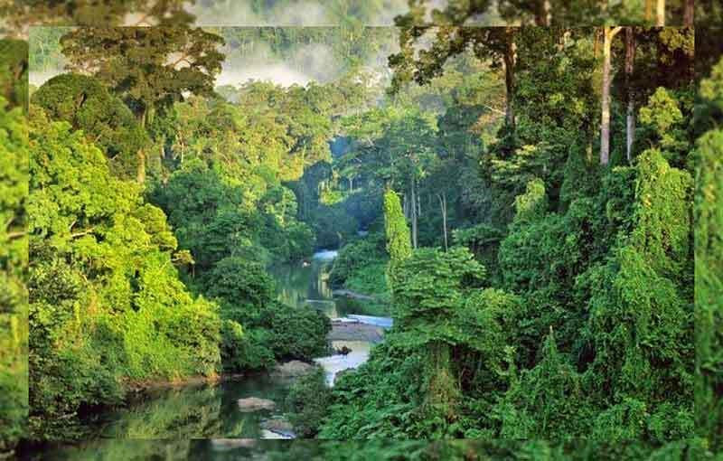 5 Hal Dari Indonesia yang Sangat Layak Buat Dibanggain