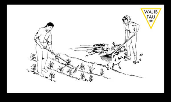 WAJIB TAU - Mana yang lebih baik? Orang tua "Tukang Kebun" atau "Tukang Kayu"?