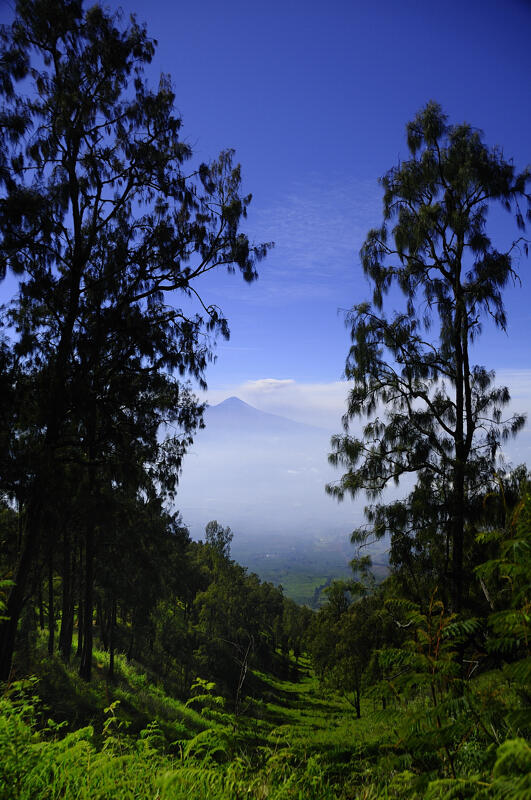 Indonesiaku, Kucinta Padamu