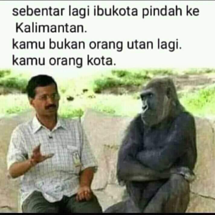 Ibukota Boleh Pindah Ke Kalimantan, Asal Bapakkota Jangan Pindah Ke Hatimantan.