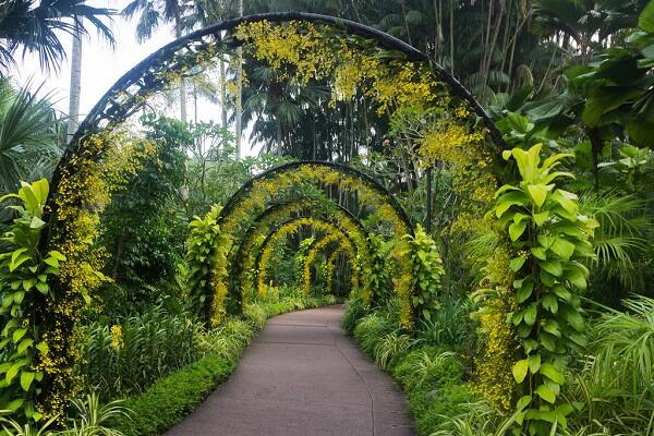 5 Rekomendasi Taman di Singapura yang Enak Buat Ngadem