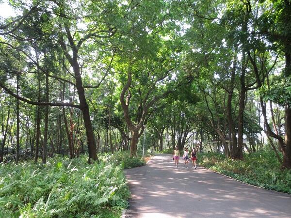 5 Rekomendasi Taman di Singapura yang Enak Buat Ngadem