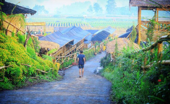 Potret Keindahan Desa Wisata Pujon Kidul, Desa Wisata Tersukses di Malang