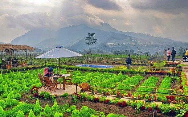 Potret Keindahan Desa Wisata Pujon Kidul, Desa Wisata Tersukses di Malang