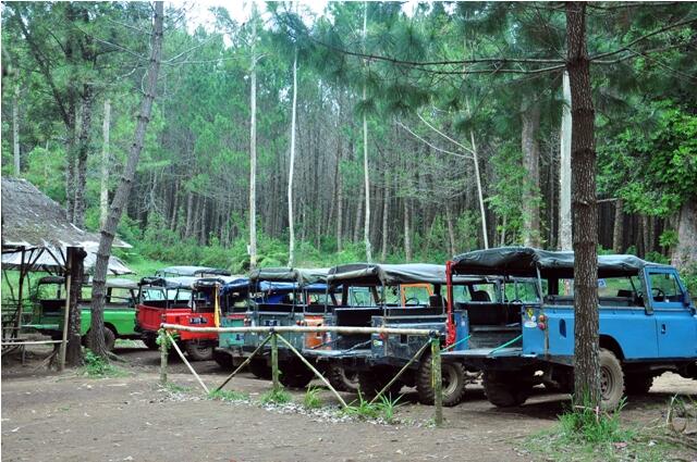 6 TEMPAT TERPOPULER OUTBOUND LEMBANG BANDUNG 2019